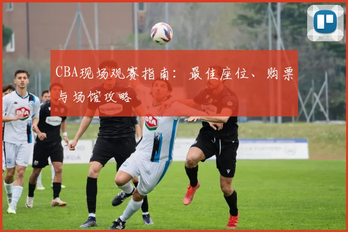 CBA现场观赛指南:最佳座位、购票与场馆攻略