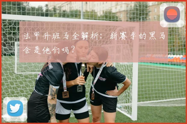 法甲升班马全解析:新赛季的黑马会是他们吗?