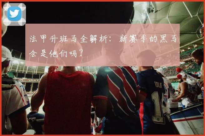 法甲升班马全解析:新赛季的黑马会是他们吗?